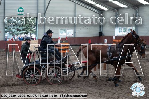 Mintakép 20260207-85