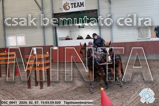Mintakép 20260207-87