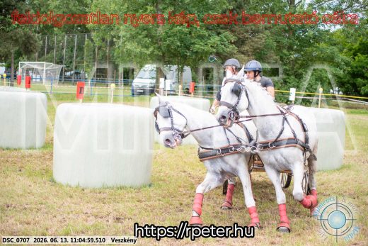 Mintakép 20260613-512
