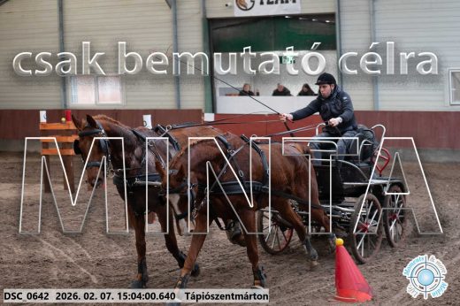 Mintakép 20260207-88
