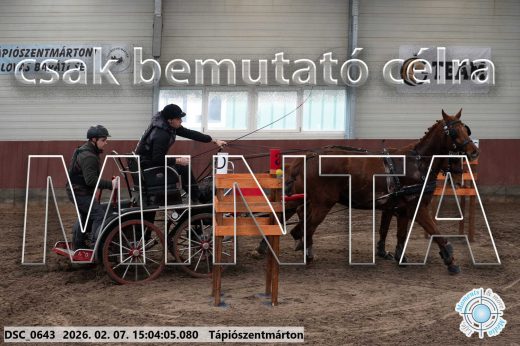 Mintakép 20260207-89