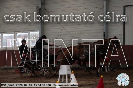 Mintakép 20260207-98