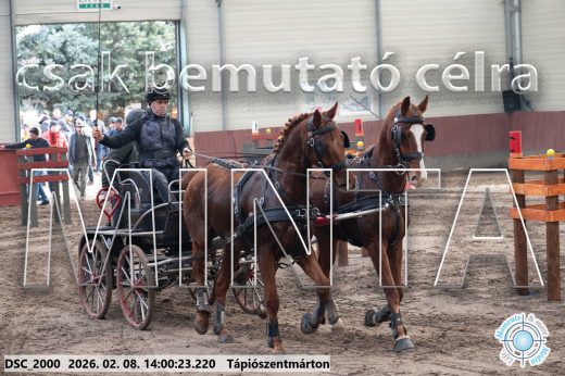 Mintakép 20260208-103