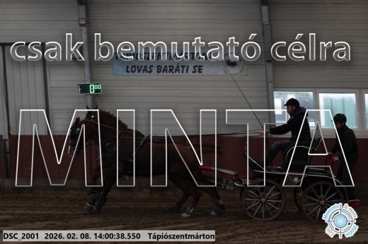 Mintakép 20260208-104
