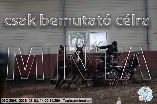 Mintakép 20260208-106
