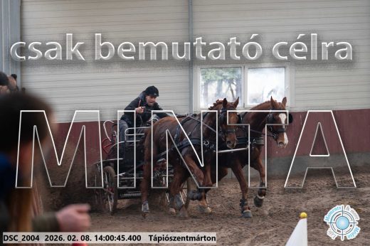 Mintakép 20260208-107