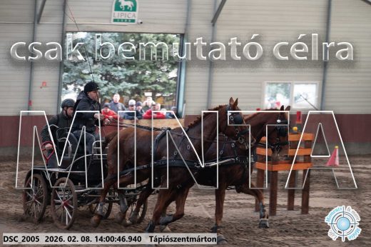 Mintakép 20260208-108