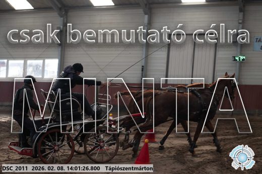 Mintakép 20260208-112
