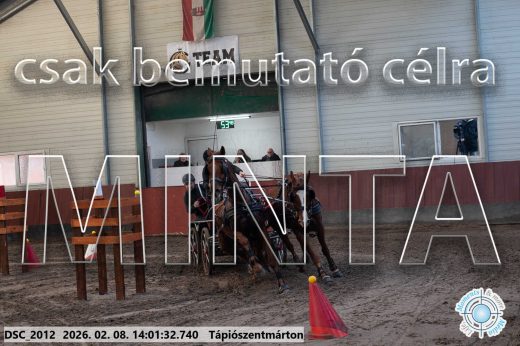 Mintakép 20260208-113