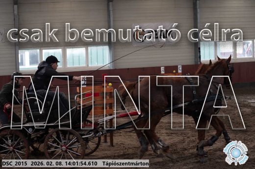 Mintakép 20260208-116