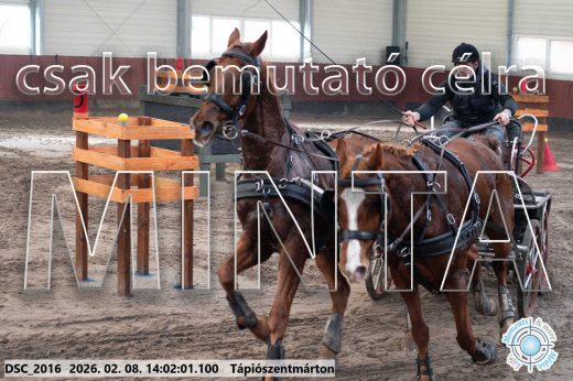 Mintakép 20260208-117