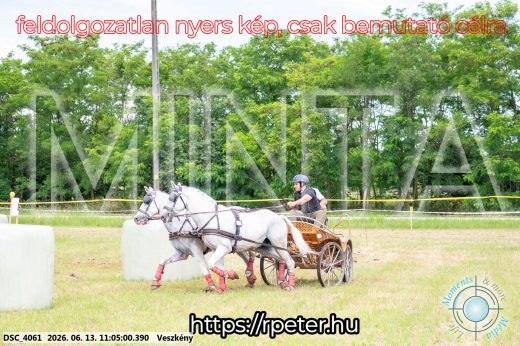 Mintakép 20260613-515
