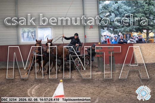 Mintakép 20260208-126