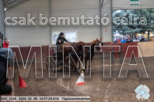 Mintakép 20260208-128