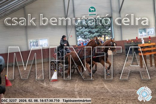 Mintakép 20260208-129