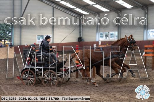 Mintakép 20260208-131