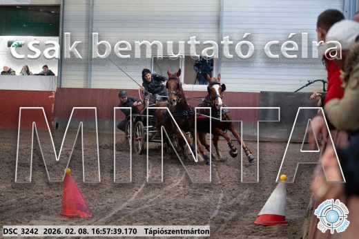 Mintakép 20260208-134