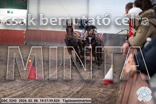 Mintakép 20260208-135