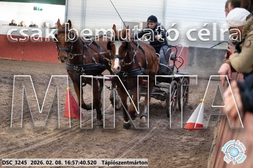 Mintakép 20260208-137