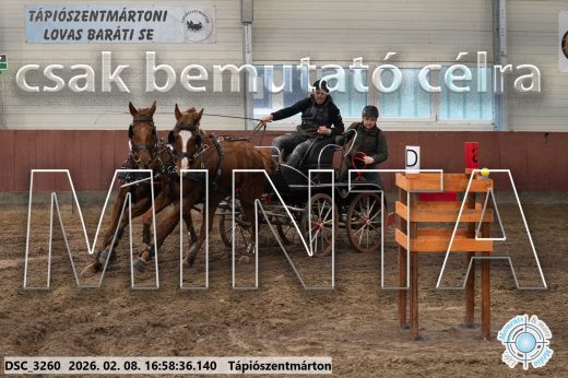 Mintakép 20260208-151