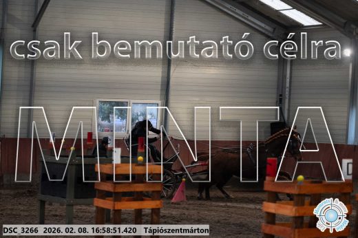 Mintakép 20260208-157
