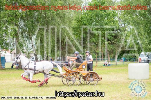 Mintakép 20260613-519