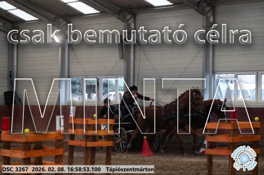 Mintakép 20260208-158
