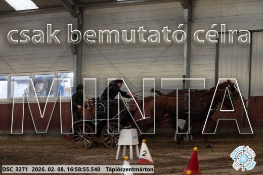 Mintakép 20260208-161
