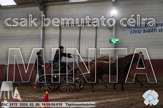 Mintakép 20260208-162