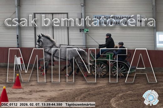 Mintakép 20260207-105