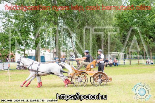 Mintakép 20260613-520
