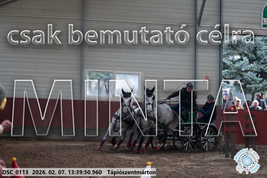 Mintakép 20260207-106