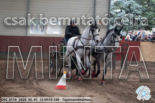 Mintakép 20260207-107