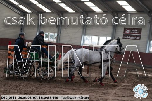 Mintakép 20260207-108