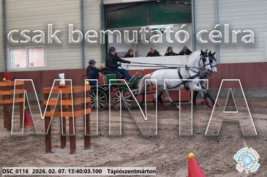 Mintakép 20260207-109