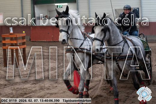 Mintakép 20260207-111