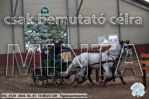 Mintakép 20260207-112