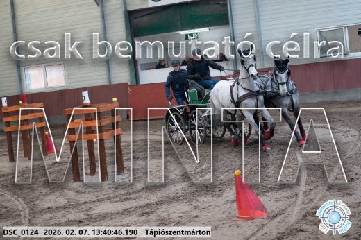 Mintakép 20260207-116