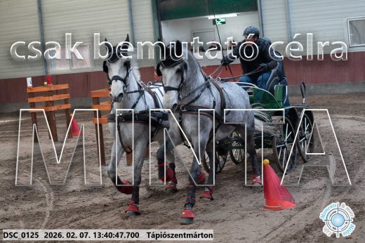 Mintakép 20260207-117