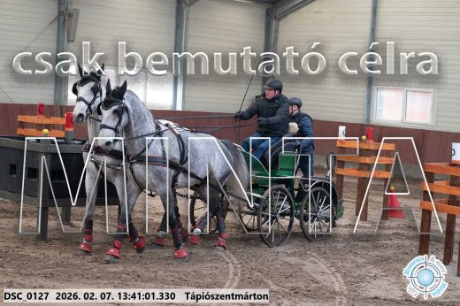 Mintakép 20260207-119