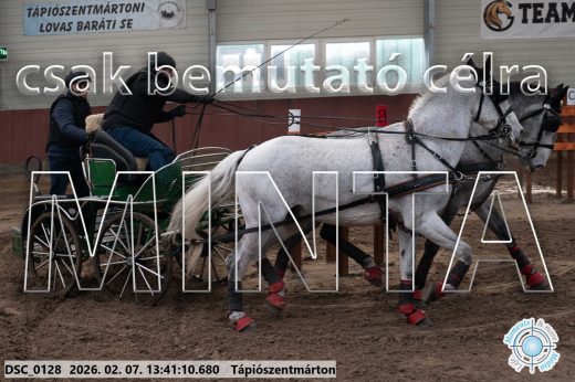 Mintakép 20260207-120