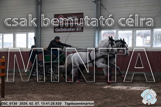 Mintakép 20260207-121