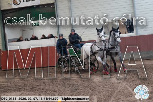 Mintakép 20260207-124