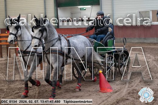 Mintakép 20260207-125