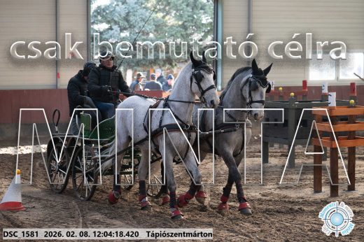 Mintakép 20260208-164