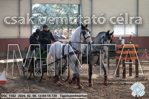 Mintakép 20260208-165