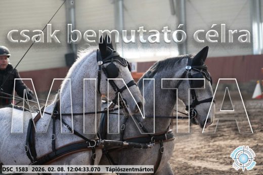 Mintakép 20260208-166