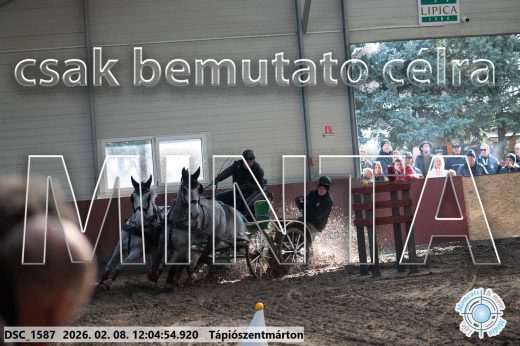 Mintakép 20260208-169