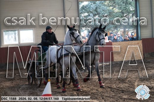 Mintakép 20260208-170