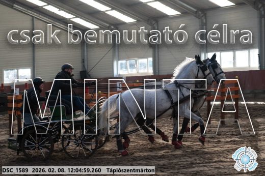Mintakép 20260208-171